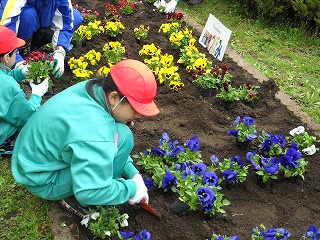DSCN4007.jpg DSCN4007.jpg