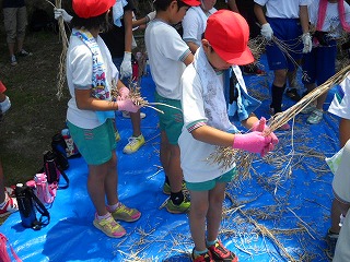 DSCN5386.jpg