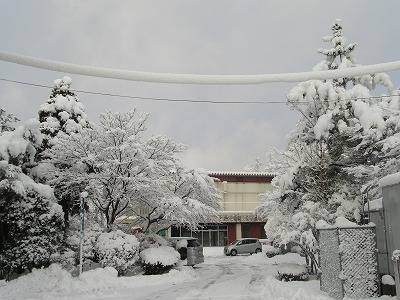 IMG_7856.jpg