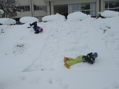 IMG_7937.jpg IMG_7937.jpg