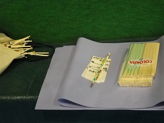 DSCN5565.jpg