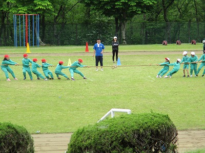 IMG_0125.jpg IMG_0125.jpg