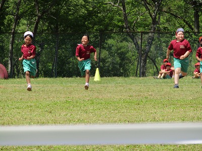 IMG_0681.jpg IMG_0681.jpg