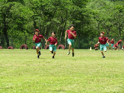 IMG_0689.jpg IMG_0689.jpg