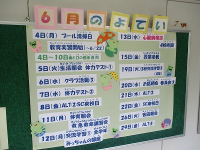 IMG_0225.jpg