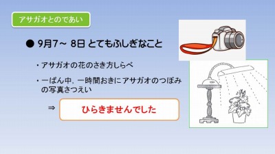 饤5.jpg