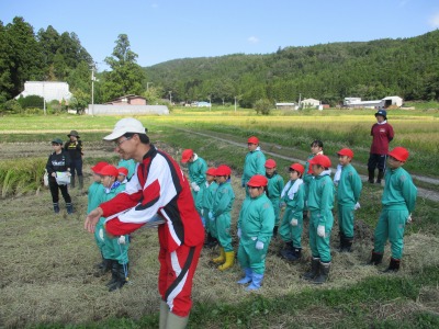 IMG_1287.jpg