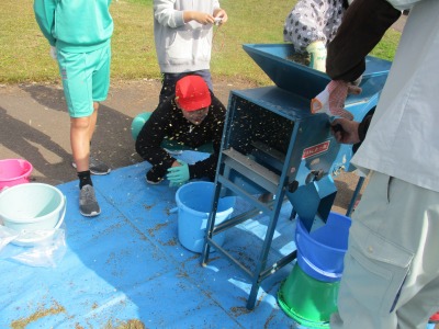 IMG_1477.jpg IMG_1477.jpg
