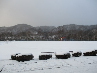 IMG_1980.jpg IMG_1980.jpg
