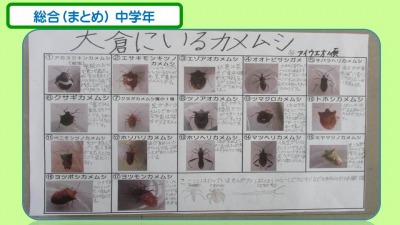 ¥¹¥é¥¤¥É22.jpg ¥¹¥é¥¤¥É22.jpg