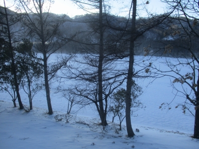 IMG_2259.jpg IMG_2259.jpg