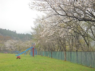 DSCN4106.jpg DSCN4106.jpg