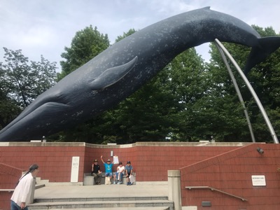 70311576-FC18-46C6-870F-601610016E09.jpeg