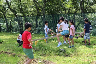 IMG_5243.jpg IMG_5243.jpg
