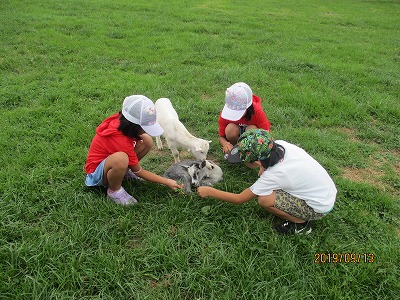 IMG_0035.jpg
