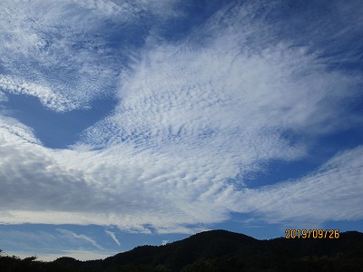 IMG_0088.jpg