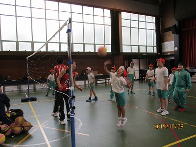 IMG_3335.jpg IMG_3335.jpg