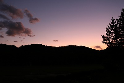 IMG_6223.jpg IMG_6223.jpg