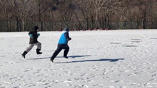 IMG_9660_V2F_2020-02-12_09-30-57_907.jpg