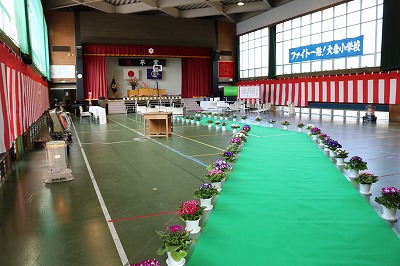IMG_8597.jpg