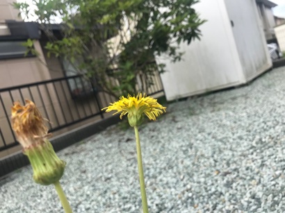 702A8B43-7B37-4010-9D4D-6347FE23F6EF.jpeg