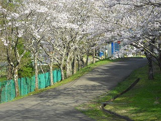DSCN4138.jpg