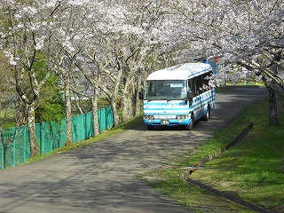 DSCN4141.jpg