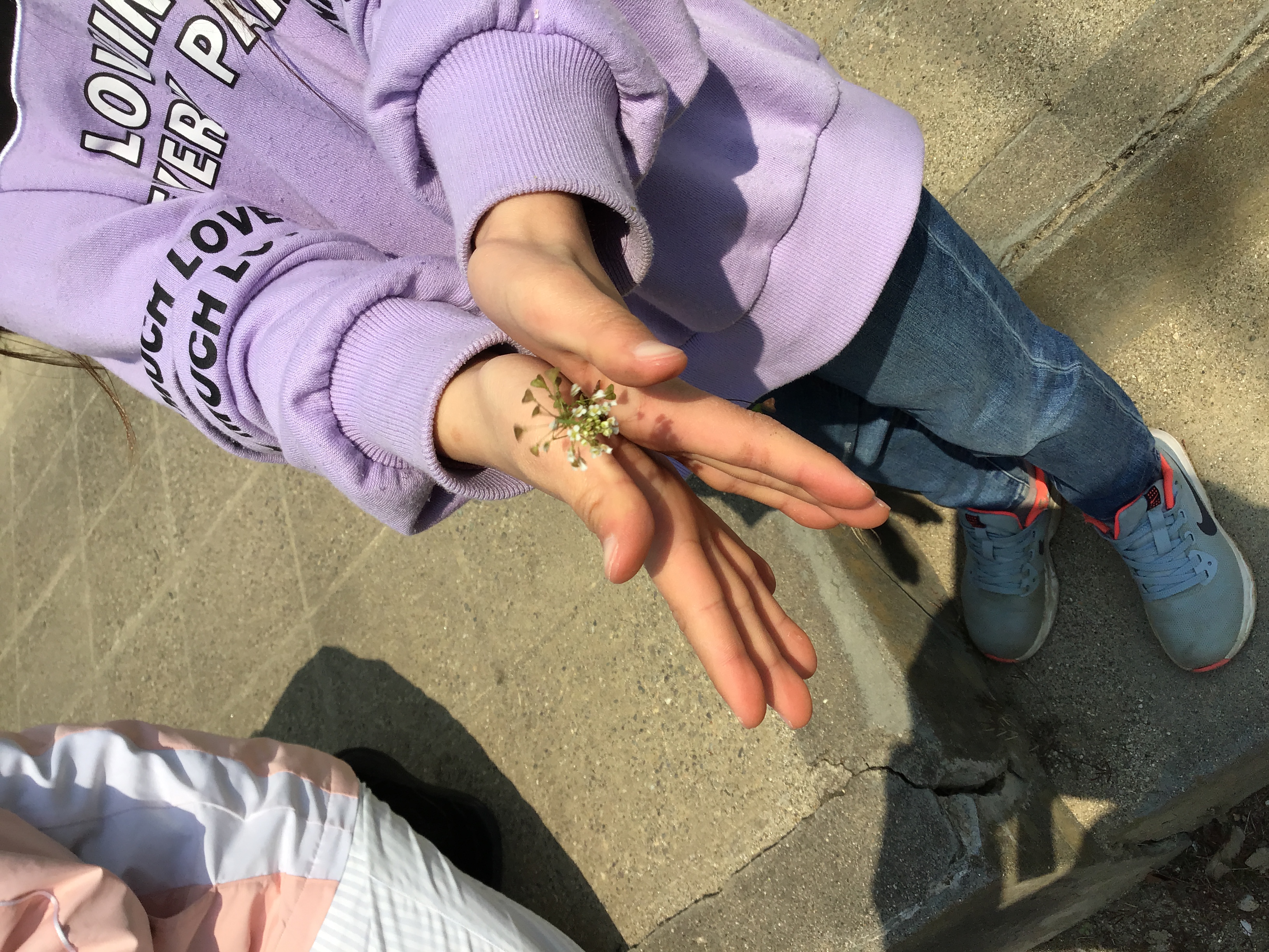 2020-04-15 10.24.24.jpg 2020-04-15 10.24.24.jpg