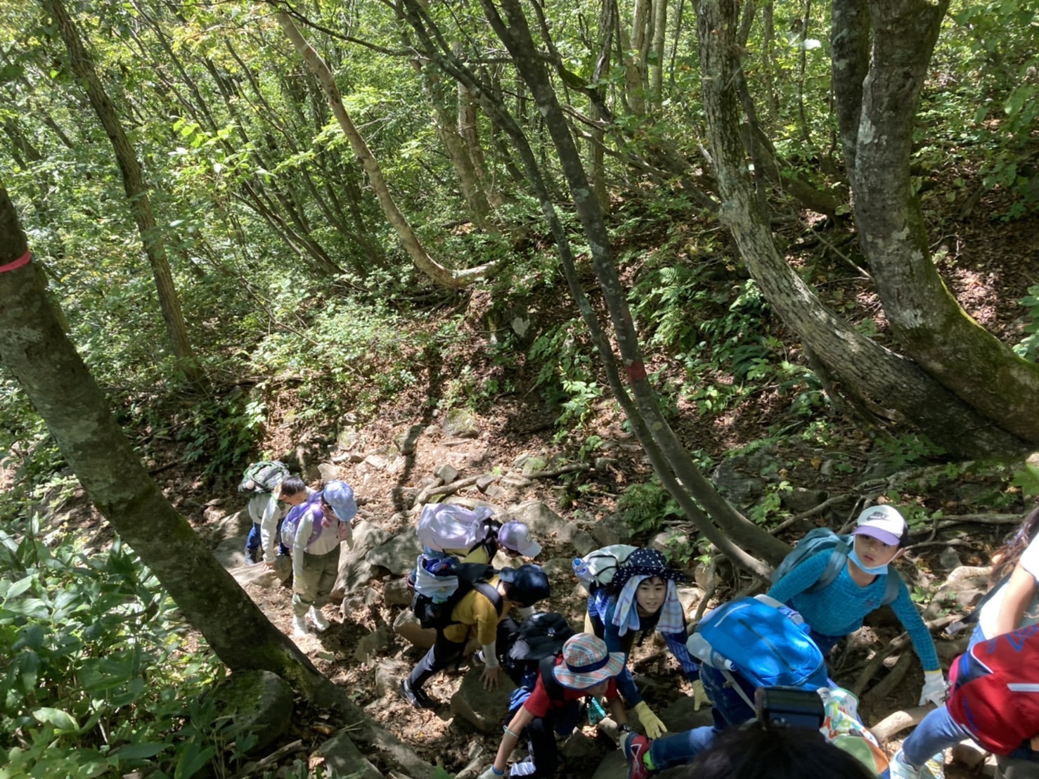 2021-09-21 12.02.32.jpg 2021-09-21 12.02.32.jpg