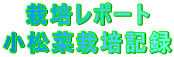 ͔||[g ؍͔|L^ 