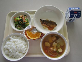 190306.jpg