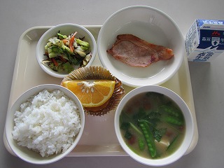 190308.jpg