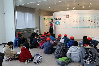 IMG_7613.jpg