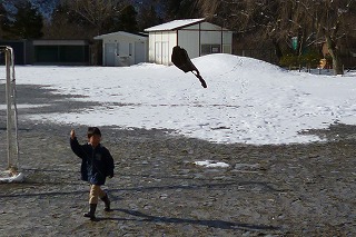 P1050506.jpg