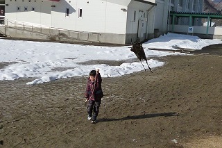 P1050510.jpg