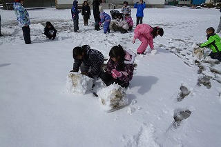 P1050620.jpg