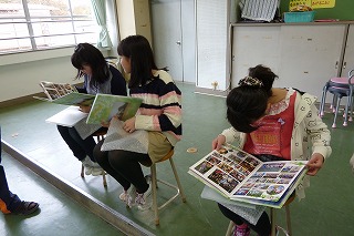 P1050790.jpg
