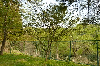 P1030151.jpg