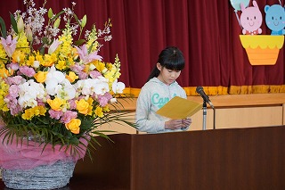 DSC01033.jpg
