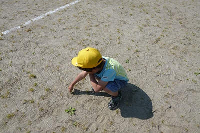 P1030462.jpg