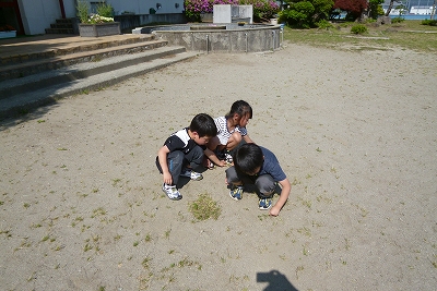 P1030464.jpg