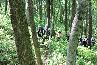 IMG_3192.jpg