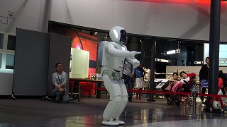 DSC00233.jpg