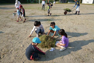 P1040368.jpg