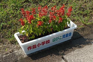 DSC07339.jpg
