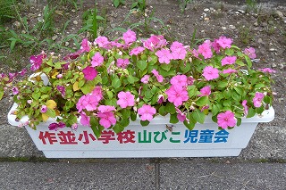 P1040376.jpg