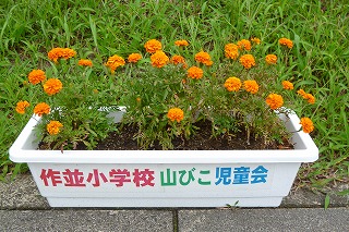 P1040377.jpg