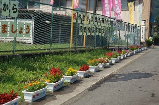 DSC07340.jpg