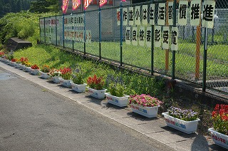 DSC07342.jpg
