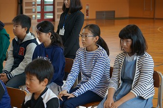 DSC00184.jpg
